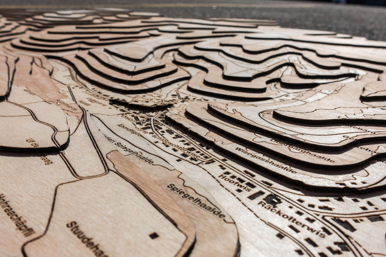 Topographical map of Hemmental, Schaffhausen - Detail of the wood layers