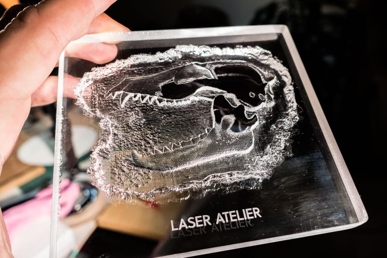 Laserengraving of bird skull as 3D relief in Acryl/PMMA by Laser Atelier