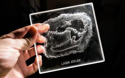 Laserengraving of bird skull as 3D relief in Acryl/PMMA by Laser Atelier